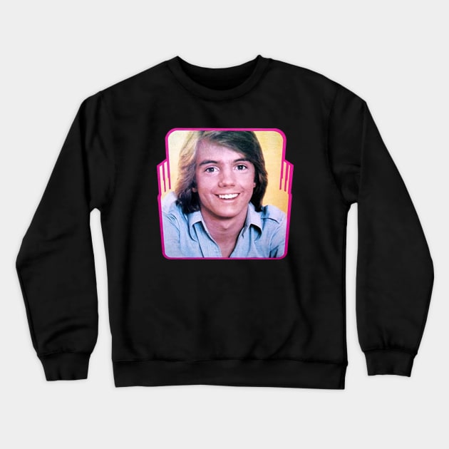 Vintage Super Hardy Boys Shaun Cassidy 1976 Rare Promotional Crewneck Sweatshirt by fancyjan